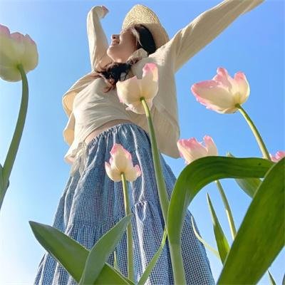 名门淑女封面